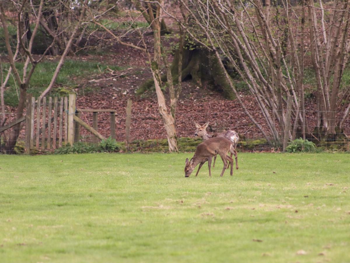 Deer Lodge Wimborne Minster Dış mekan fotoğraf